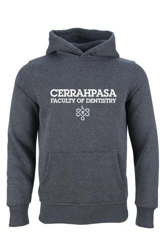 Istanbul Üniversitesi-Cerrahpasa Dis Hekimligi Fakültesi Model 2